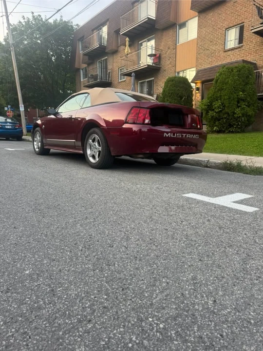 2004 Ford SN95 Mustang - Image 6 of 10