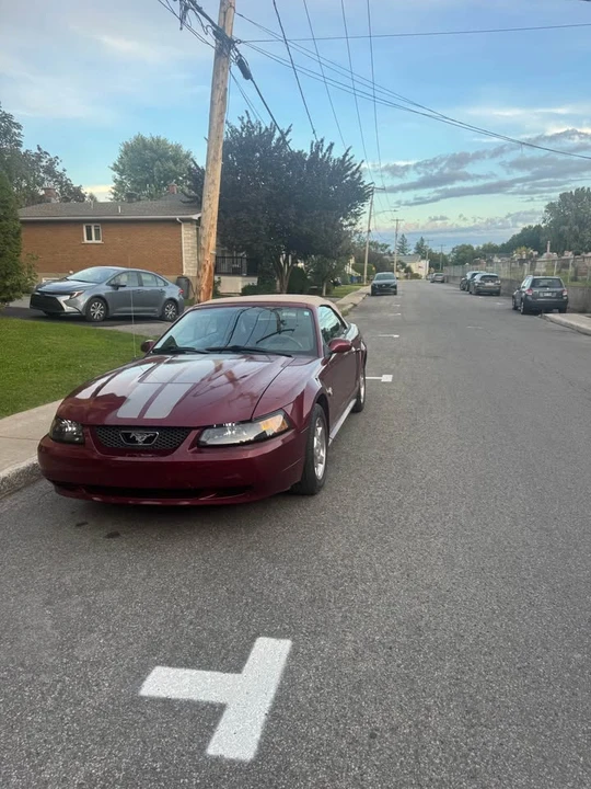 2004 Ford SN95 Mustang - Image 2 of 10