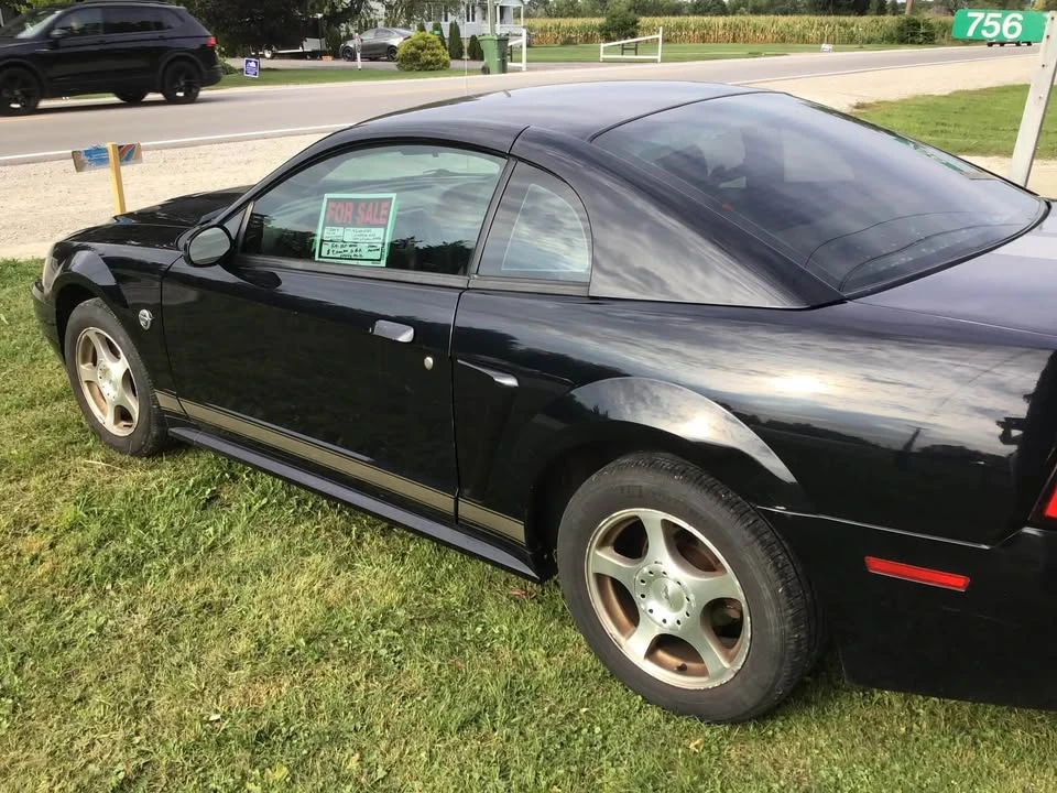 2004 Ford SN95 Mustang - Image 5 of 11