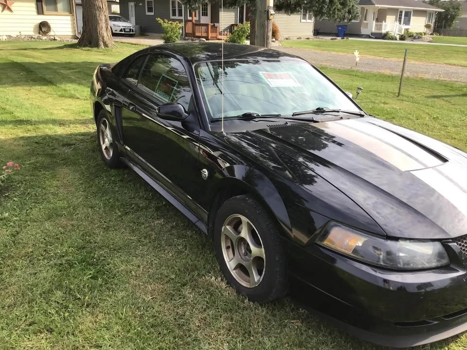 2004 Ford SN95 Mustang - Image 2 of 11