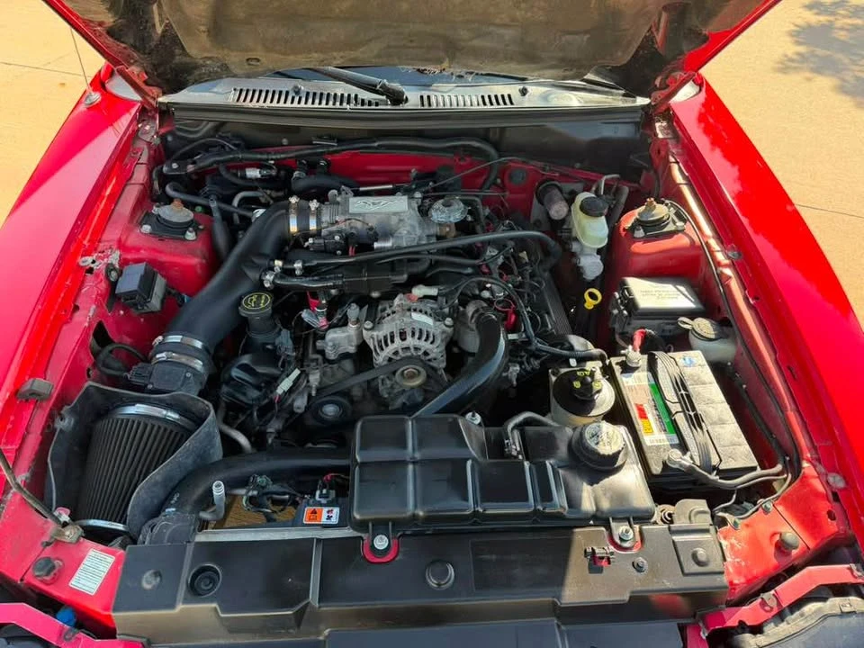 2004 Ford SN95 Mustang - Image 12 of 15