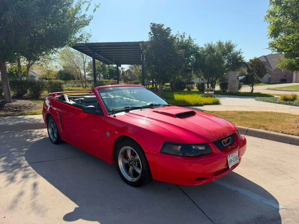 2004 Ford SN95 Mustang - Image 11 of 15