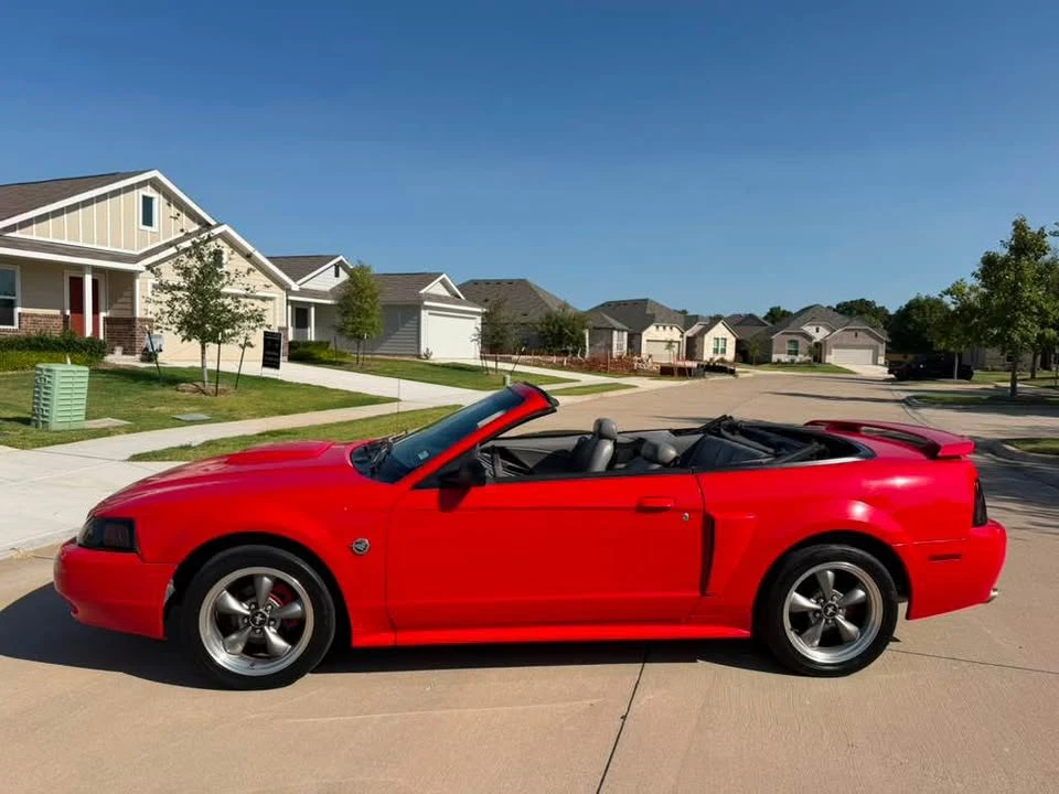 2004 Ford SN95 Mustang - Image 6 of 15