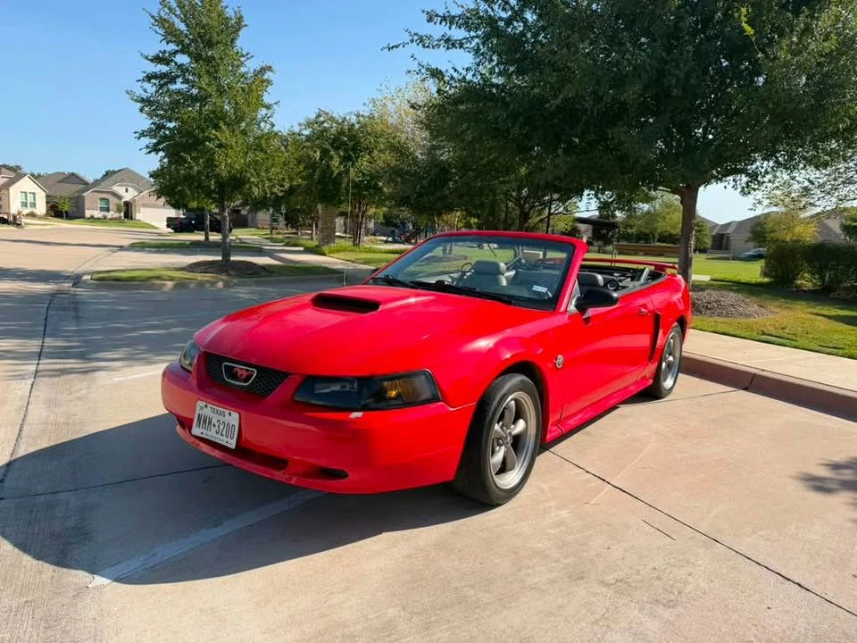 2004 Ford SN95 Mustang - Image 15 of 15