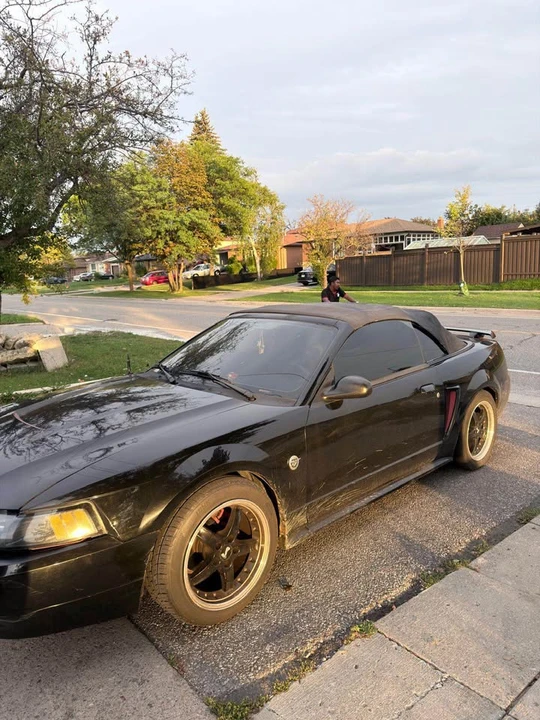 2004 Ford SN95 Mustang - Image 3 of 7
