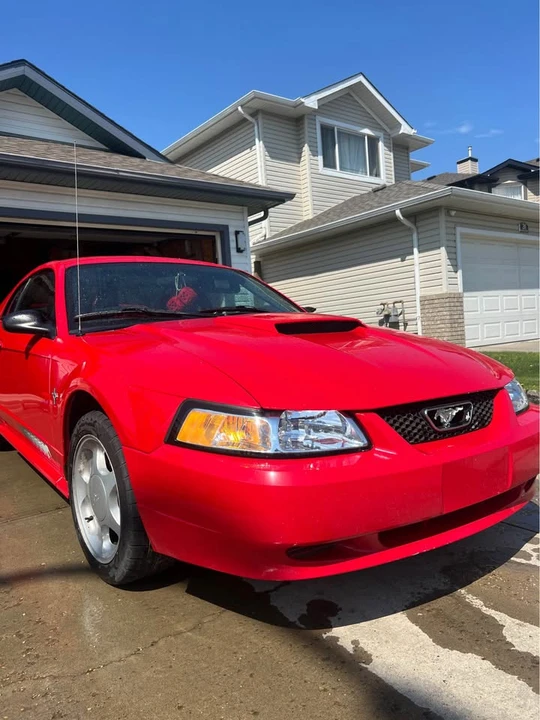 2004 Ford SN95 Mustang - Image 6 of 13