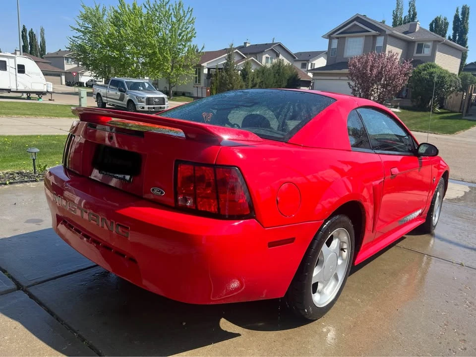 2004 Ford SN95 Mustang - Image 8 of 13