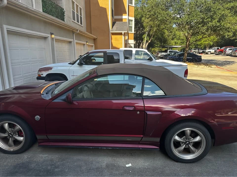 2004 Ford SN95 Mustang - Image 4 of 9