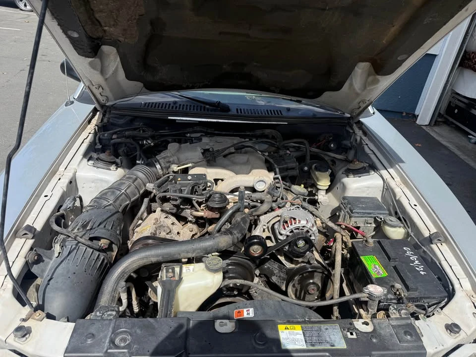 2004 Ford SN95 Mustang - Image 7 of 11