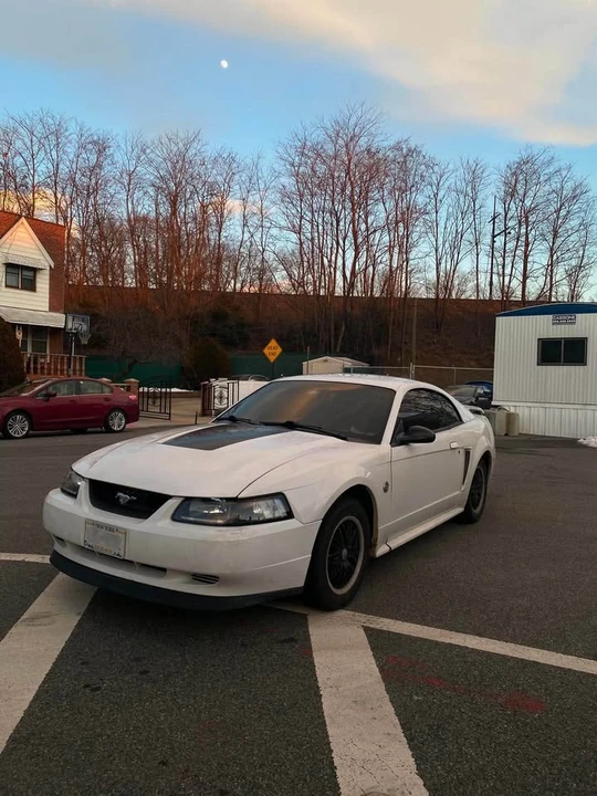 2004 Ford SN95 Mustang - Image 5 of 10
