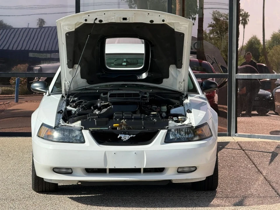 2004 Ford SN95 Mustang - Image 29 of 31