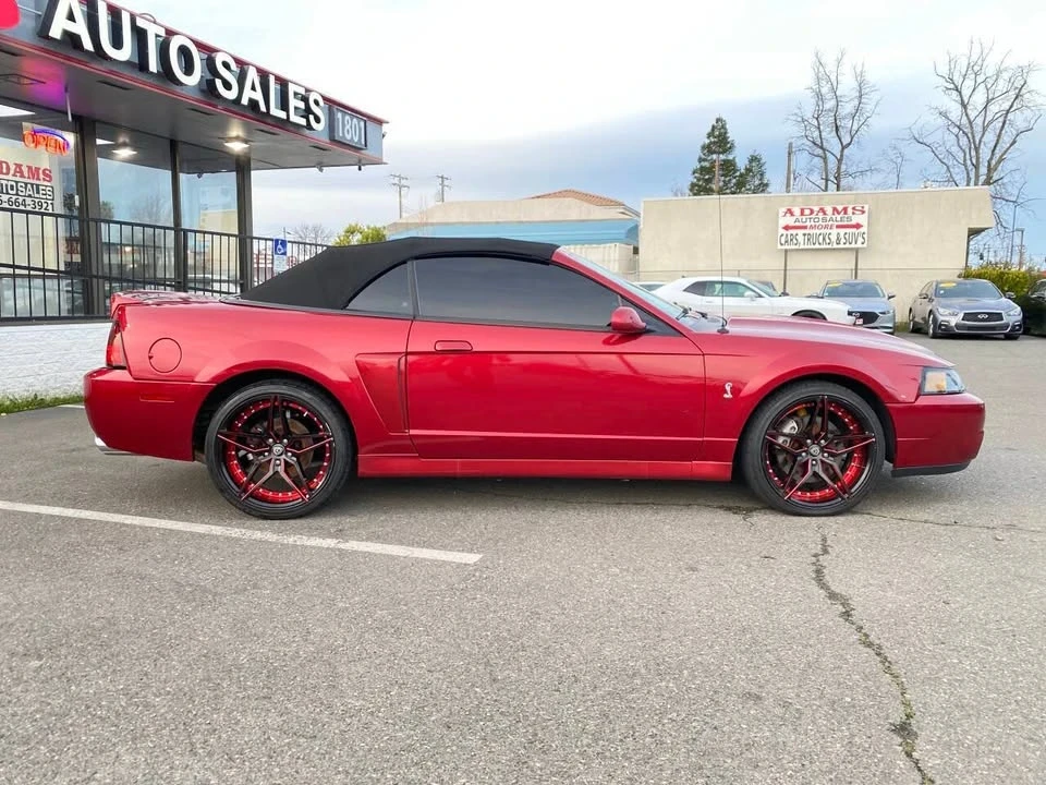 2004 Ford SN95 Mustang Cobra - Image 2 of 20