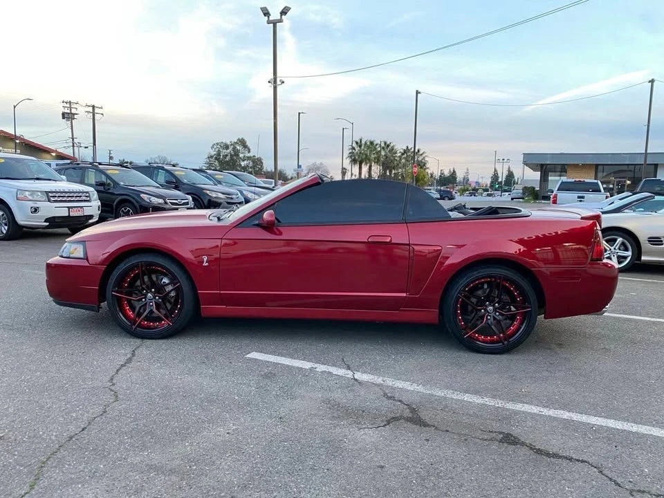 2004 Ford SN95 Mustang Cobra - Image 12 of 20