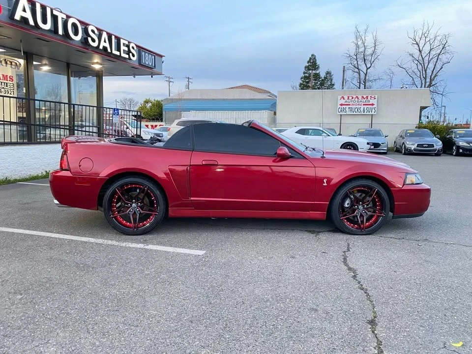 2004 Ford SN95 Mustang Cobra - Image 10 of 20