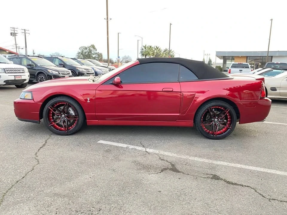 2004 Ford SN95 Mustang Cobra - Image 6 of 20