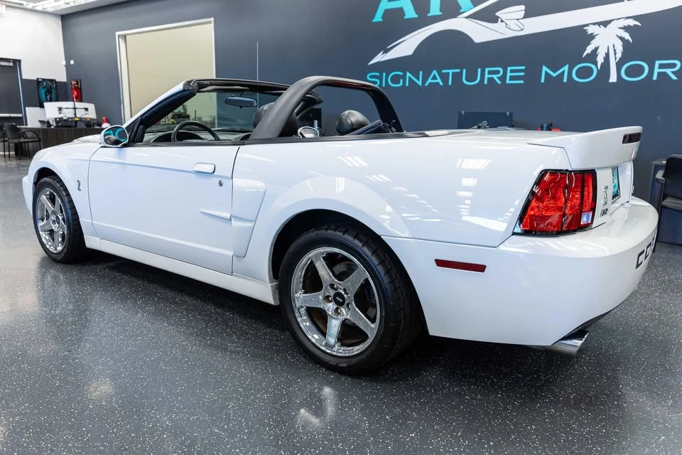 2004 Ford SN95 Mustang Cobra - Image 8 of 16