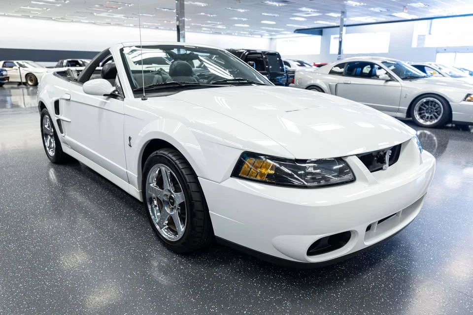 2004 Ford SN95 Mustang Cobra - Image 3 of 16