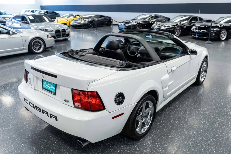 2004 Ford SN95 Mustang Cobra - Image 5 of 16