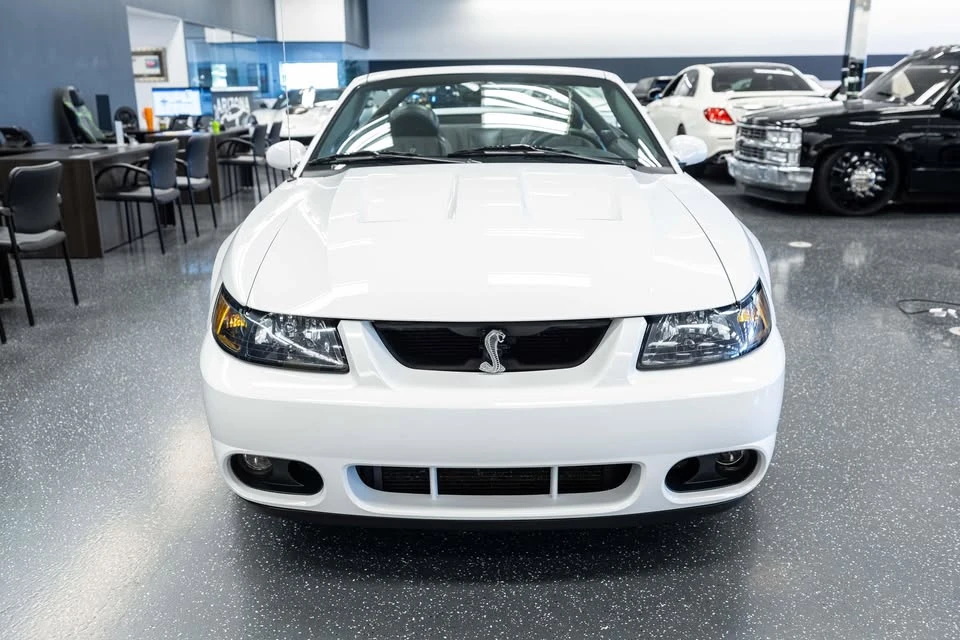 2004 Ford SN95 Mustang Cobra - Image 2 of 16