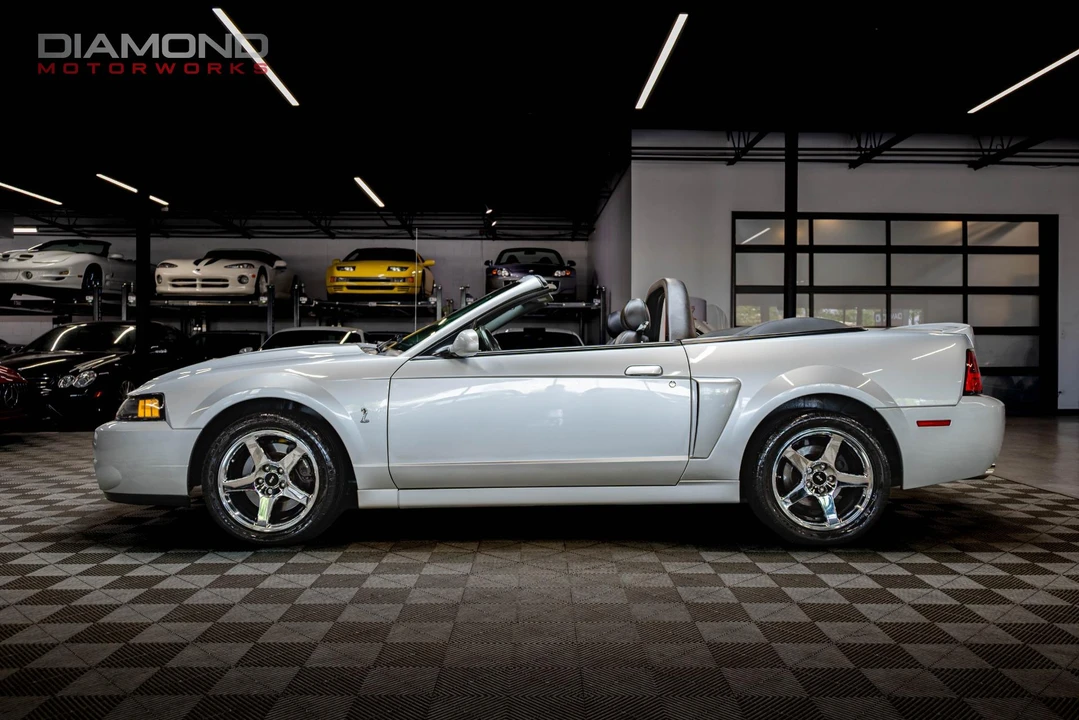 2004 Ford SN95 Mustang Cobra - Image 13 of 31