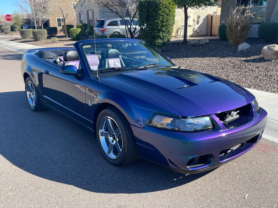 2004 Ford SN95 Mustang Cobra - Image 10 of 31
