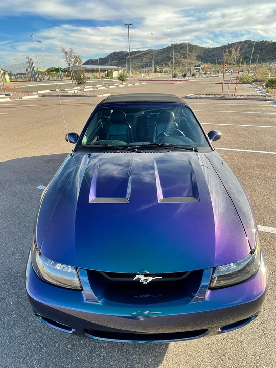 2004 Ford SN95 Mustang Cobra - Image 11 of 31