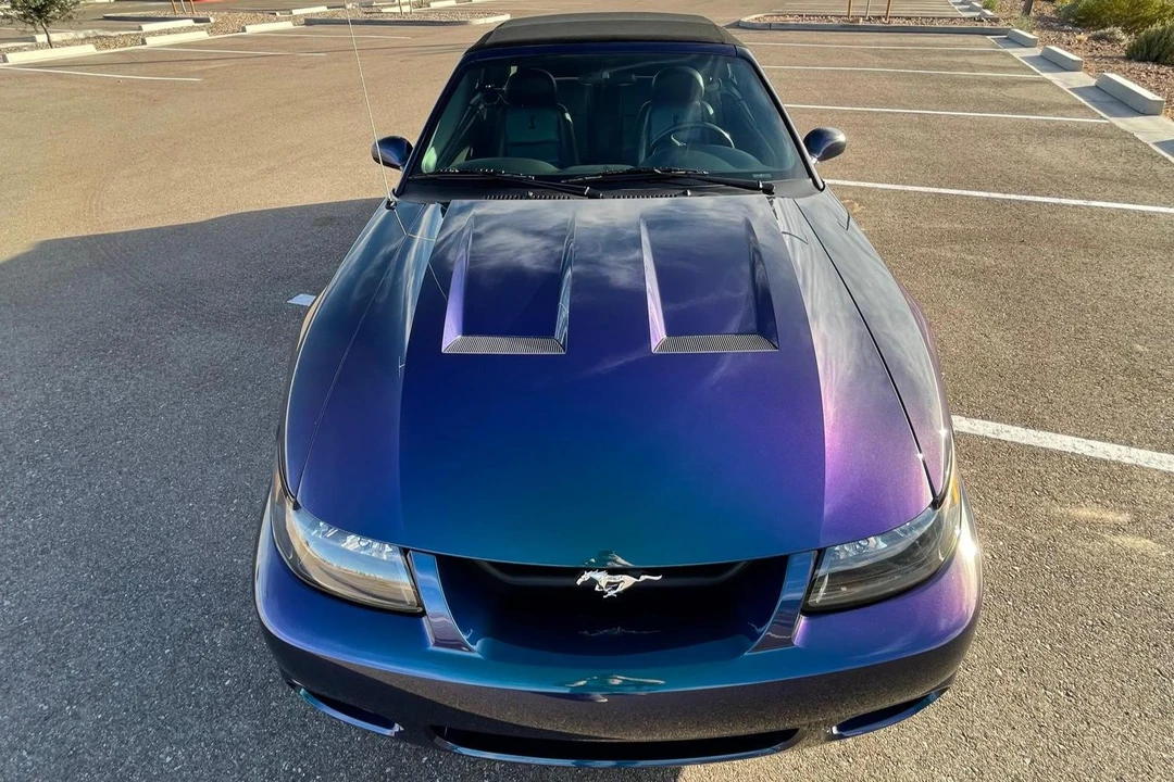 2004 Ford SN95 Mustang Cobra - Image 2 of 31