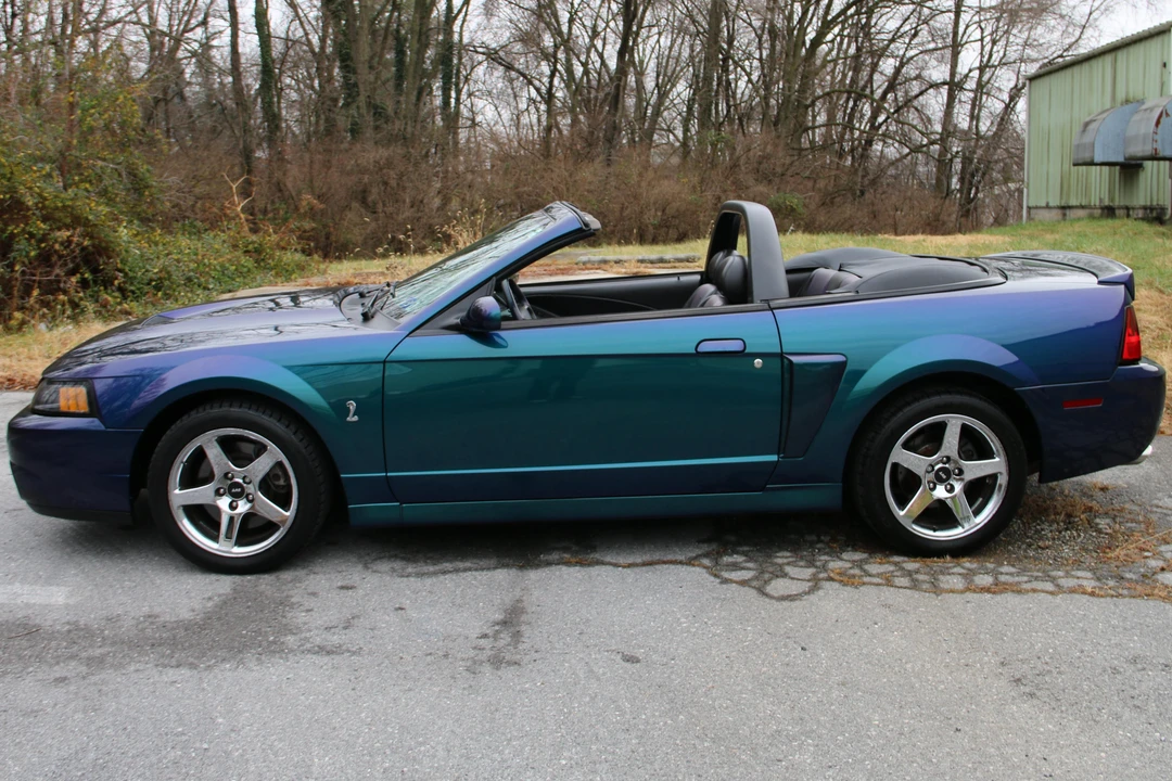 2004 Ford SN95 Mustang Cobra - Image 3 of 5