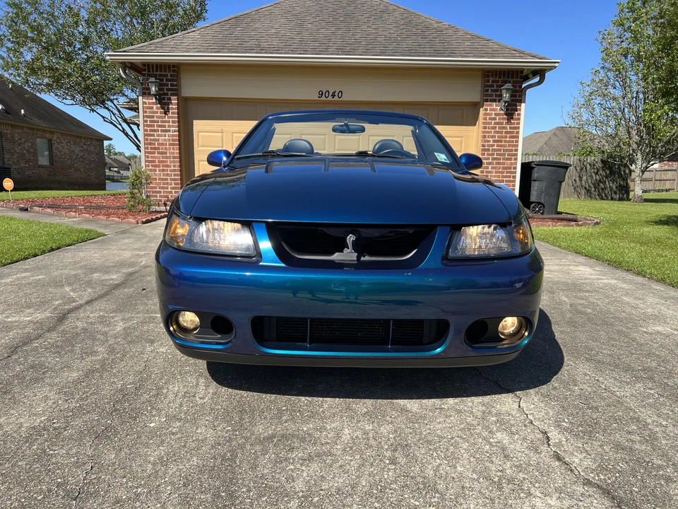 2004 Ford SN95 Mustang Cobra - Image 10 of 31