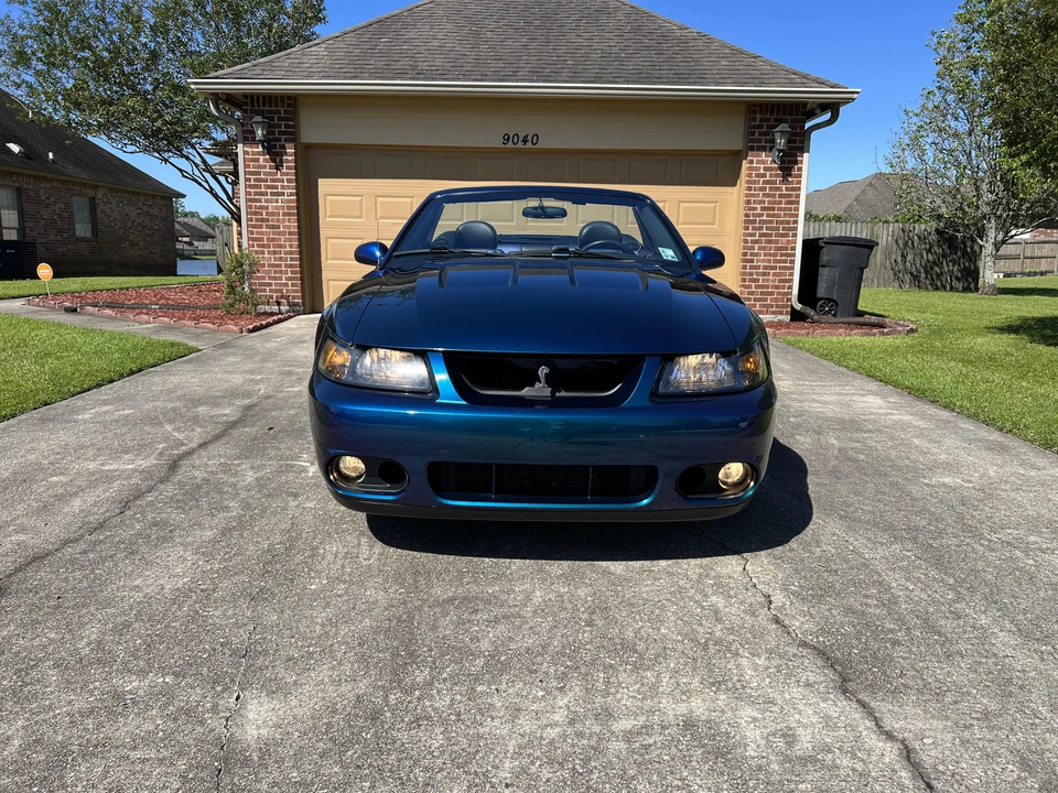 2004 Ford SN95 Mustang Cobra - Image 9 of 31