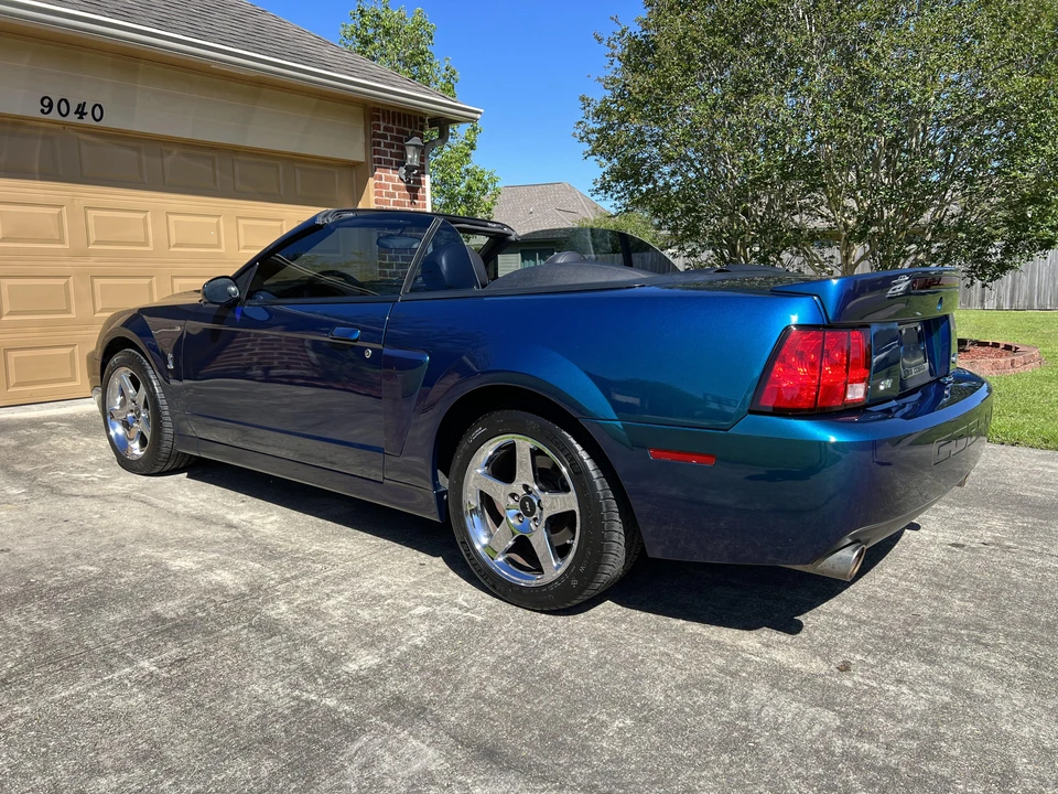 2004 Ford SN95 Mustang Cobra - Image 22 of 31