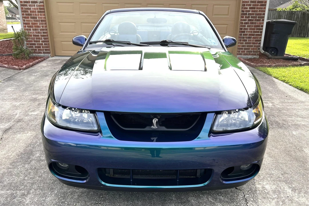 2004 Ford SN95 Mustang Cobra - Image 2 of 31
