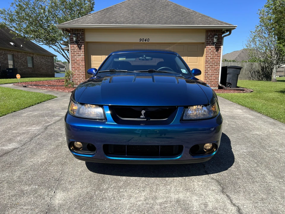 2004 Ford SN95 Mustang Cobra - Image 8 of 31