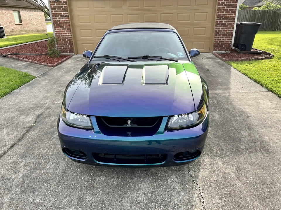 2004 Ford SN95 Mustang Cobra - Image 6 of 31