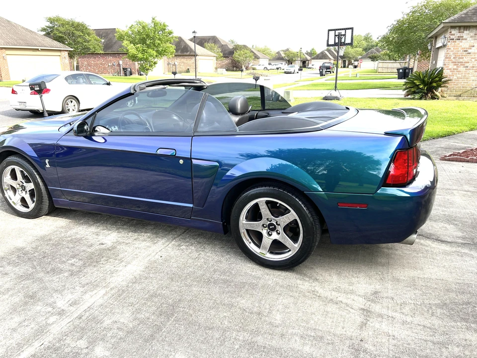 2004 Ford SN95 Mustang Cobra - Image 20 of 31