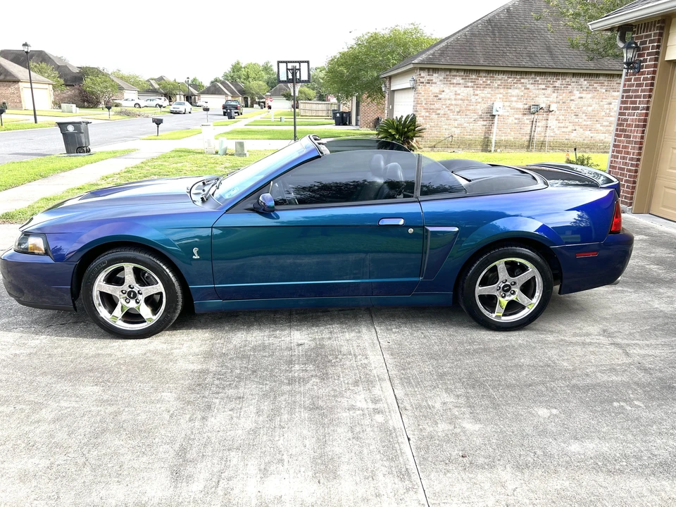 2004 Ford SN95 Mustang Cobra - Image 19 of 31