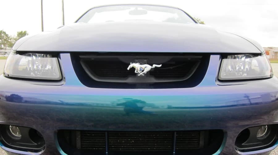 2004 Ford SN95 Mustang Cobra - Image 7 of 7