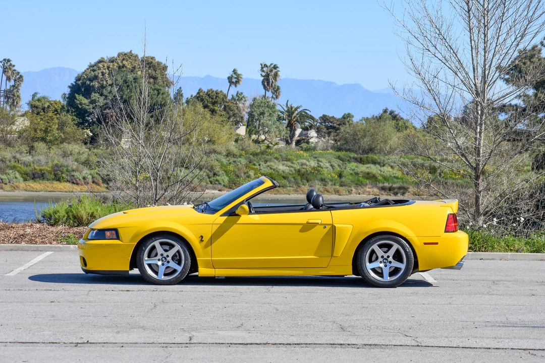 2004 Ford SN95 Mustang Cobra - Image 8 of 31