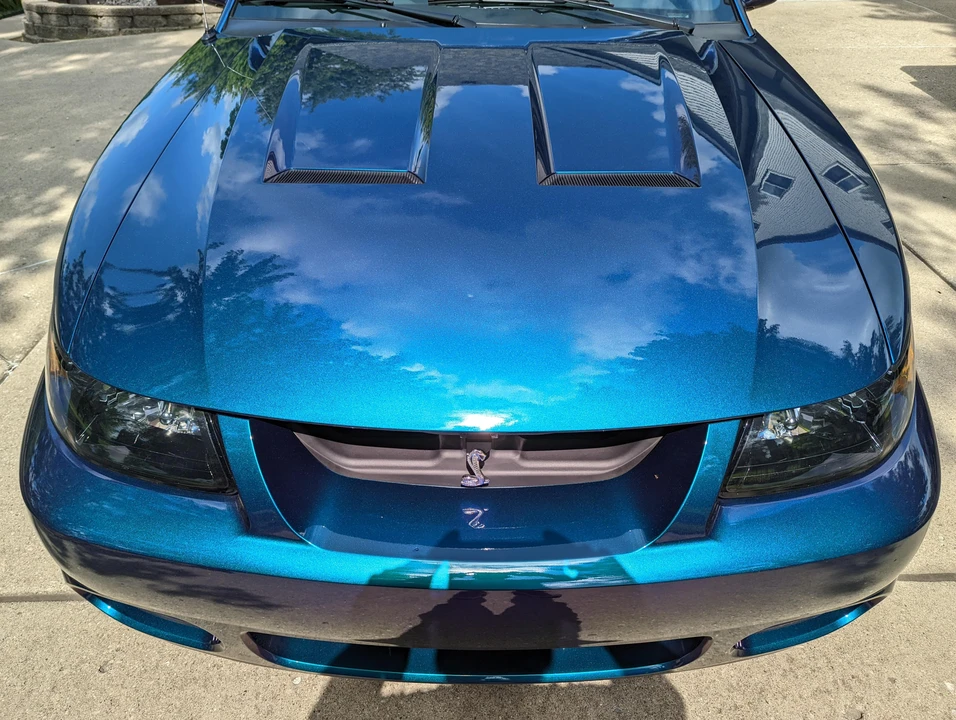 2004 Ford SN95 Mustang Cobra - Image 18 of 31