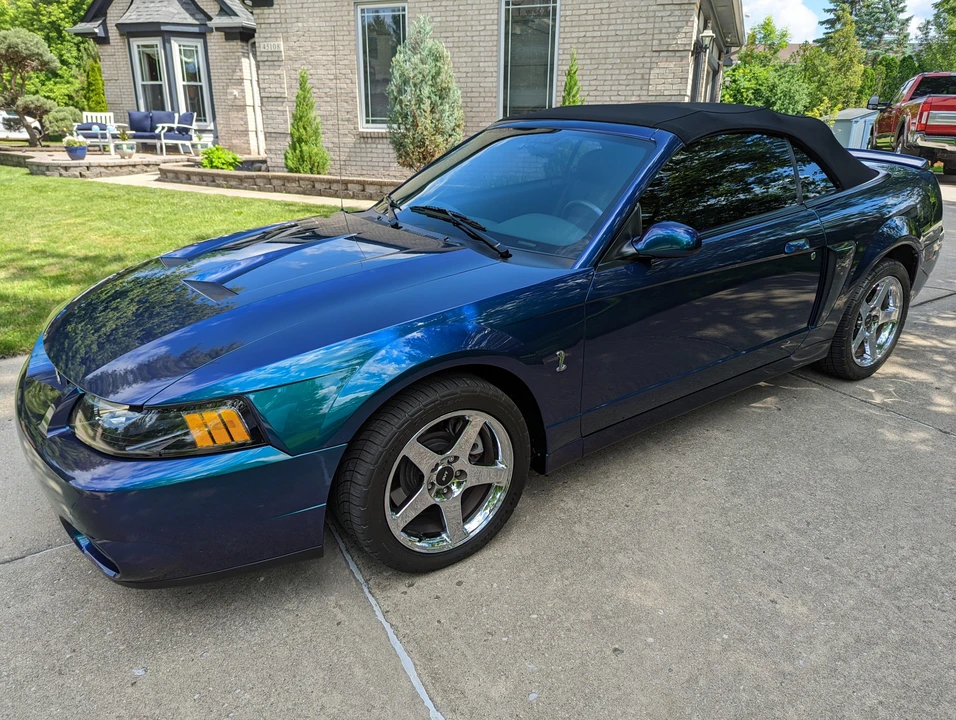 2004 Ford SN95 Mustang Cobra - Image 6 of 31