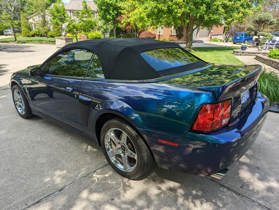 2004 Ford SN95 Mustang Cobra - Image 8 of 31