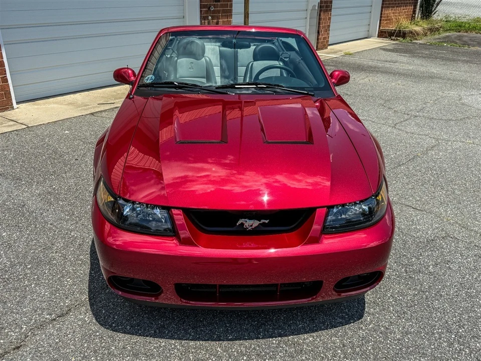 2004 Ford SN95 Mustang Cobra - Image 11 of 31