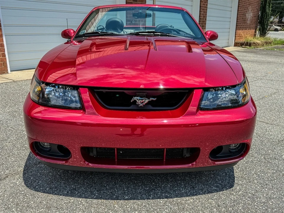 2004 Ford SN95 Mustang Cobra - Image 19 of 31