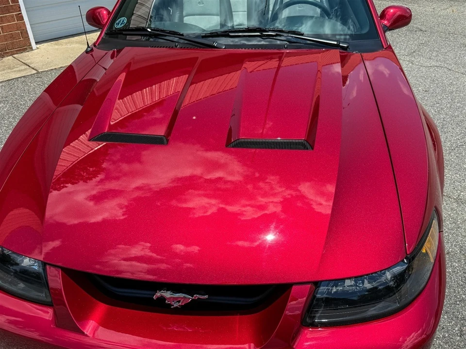 2004 Ford SN95 Mustang Cobra - Image 14 of 31