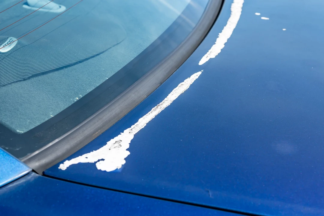 2004 Ford SN95 Mustang Cobra - Image 23 of 31