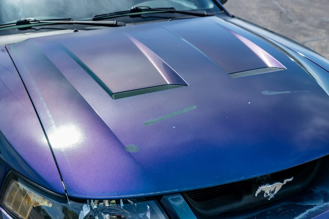 2004 Ford SN95 Mustang Cobra - Image 10 of 31