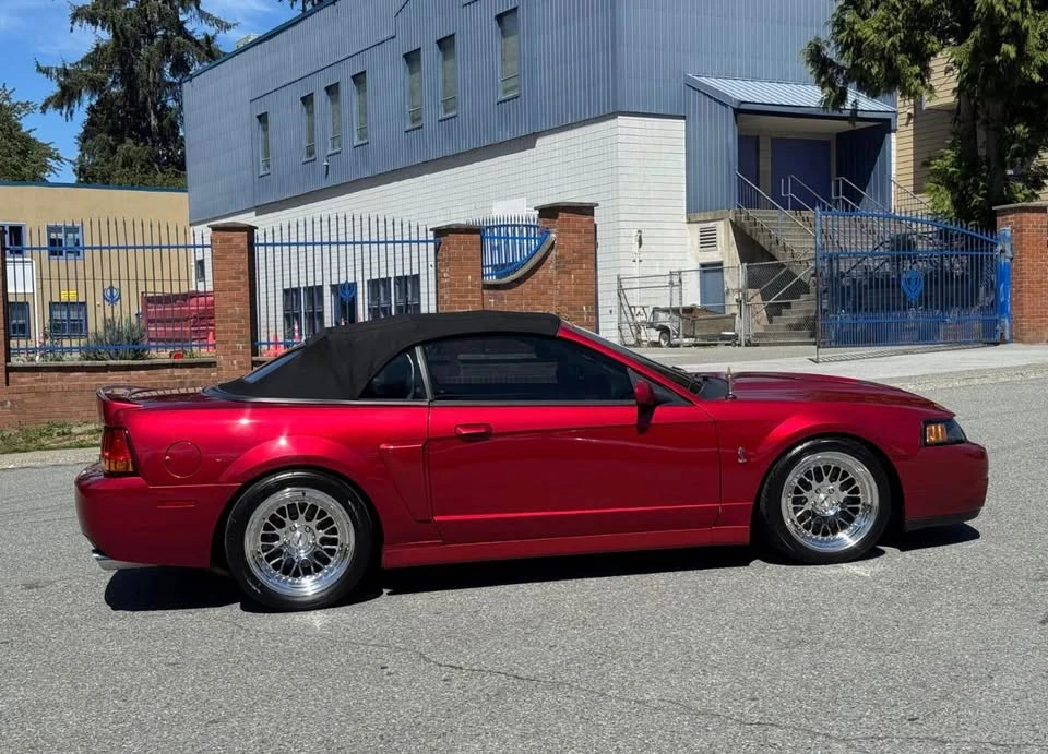 2004 Ford SN95 Mustang Cobra - Image 2 of 6