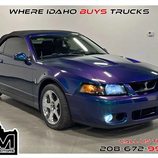 2004 Ford SN95 Mustang Cobra - Image 1 of 1