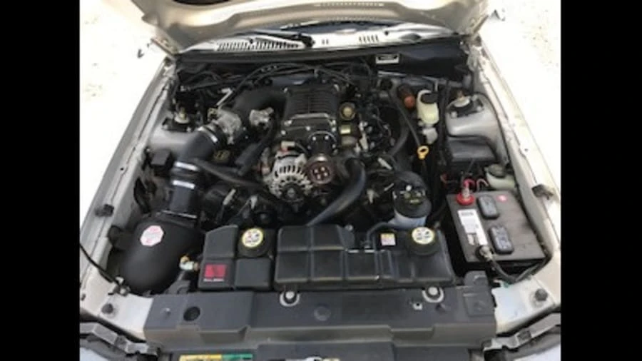 2004 Ford SN95 Mustang - Image 3 of 9
