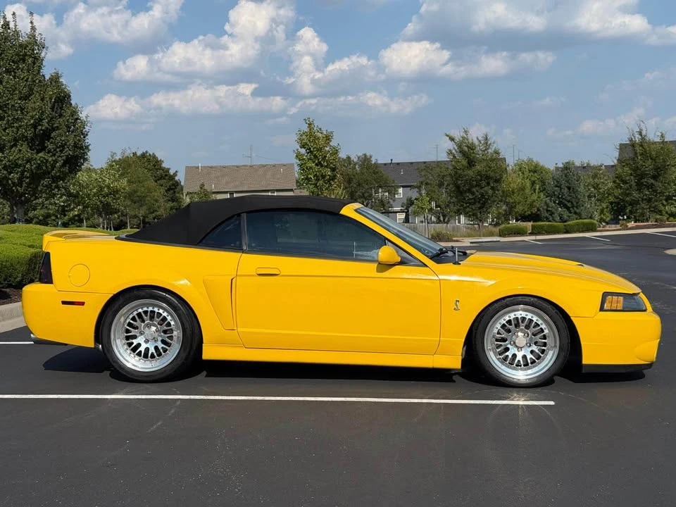 2004 Ford SN95 Mustang Cobra - Image 6 of 18